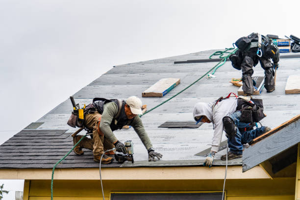 Professional Gutter Installation technician working in Export, PA